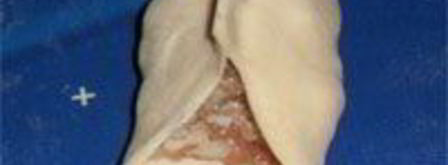 манты узбекские. Шаг 10