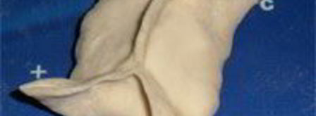 манты узбекские. Шаг 11