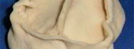 манты узбекские. Шаг 12