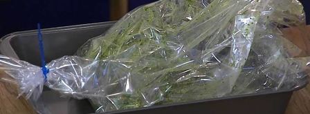 грудка индейки в зеленом маринаде. Шаг 7