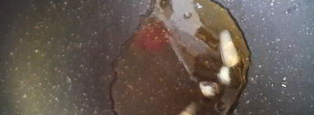 перепела фаршированные ягнятиной. Шаг 3