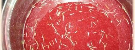 свинина в тесте под клюквенным соусом. Шаг 37