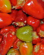 Перец фаршированный капустой