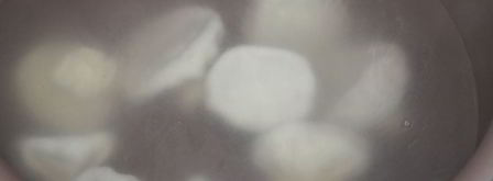 мини-хинкали с говядиной, пекинской капустой и соевым соусом. Шаг 8