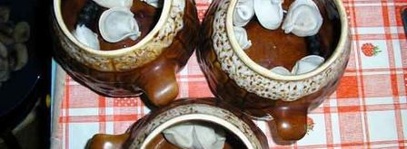 пельмешки в горшочке. Шаг 16