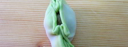 цветные китайские пельмени. Шаг 28