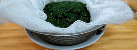 цветные китайские пельмени. Шаг 8