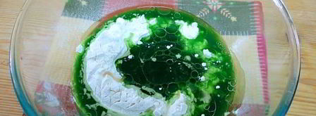 цветные китайские пельмени. Шаг 9