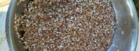 плов узбекский классический. Шаг 11