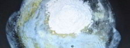 фрикасе из курицы с овощами. Шаг 6