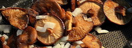 говяжье рагу с грибами и розмарином. Шаг 5