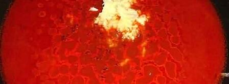 рагу из баранины и овощей. Шаг 37