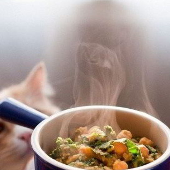 Рецепт рагу из чечевицы и белых грибов