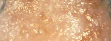 шоколадное ризотто. Шаг 3