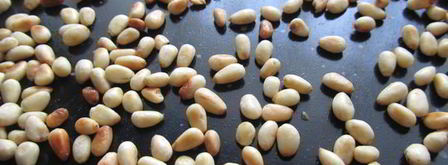 лосось по-королевски. Шаг 9