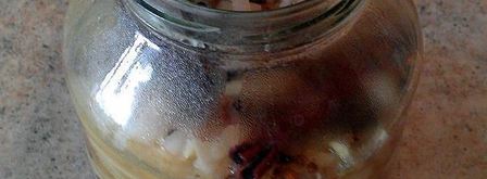 скумбрия в очень пряном маринаде и луковой шубке. Шаг 8