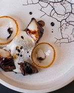 Треска, солод и кислая полба