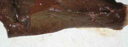 шницели куриные и печень с салатом. Шаг 9