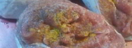 стейк из бедра индейки. Шаг 4