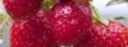 стейк паргит в соево-медовом соусе. Шаг 9