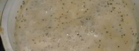 стейк семги под сливочным соусом. Шаг 5