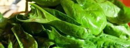 стеклянная лапша с индейкой и шпинатом. Шаг 5