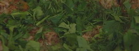 мясные тефтельки с рисом и зеленью. Шаг 12