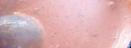 тефтели в томатно-сметанном соусе. Шаг 7