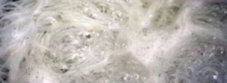 японская лапша со свининой. Шаг 6