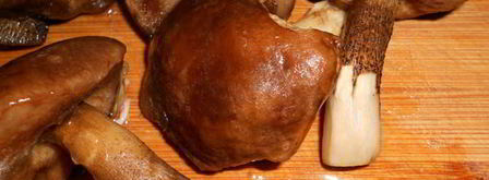 жаркое с грибами в мультиварке. Шаг 3