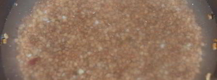 гречка по-флотски. Шаг 5