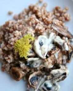 Гречка со сливочным грибным соусом