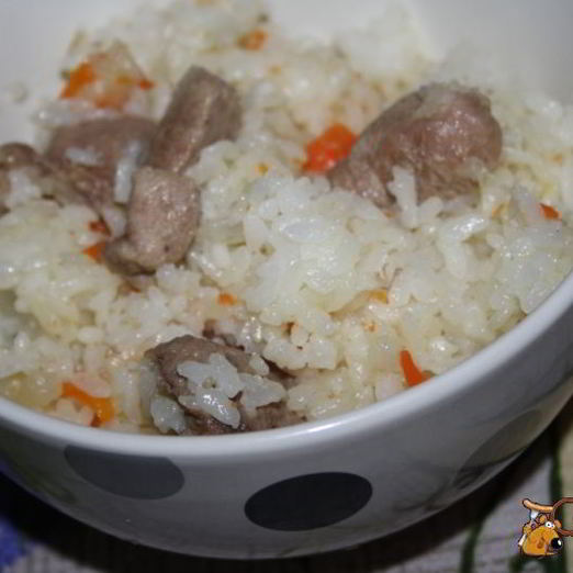 Каша рисовая с индейкой