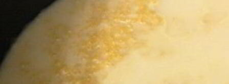 кукурузная каша на молоке в мультиварке. Шаг 3