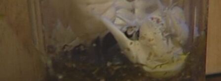 полента с оливками. Шаг 6