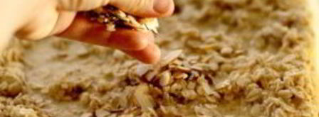 запеченная овсянка с фруктами и орехами. Шаг 4