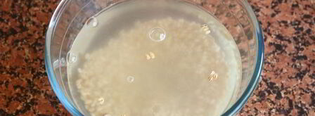 перловая каша на молоке. Шаг 6