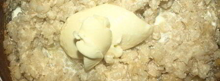 перловая каша, томленая в молоке. Шаг 4