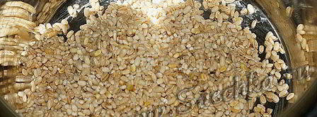 перловка с тушенкой в мультиварке steba. Шаг 4