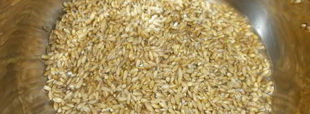 постная перловая каша с грибами. Шаг 3