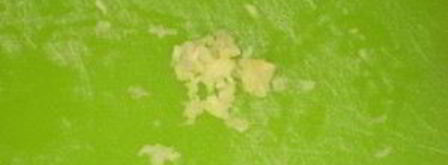 чай гарам масала. Шаг 3