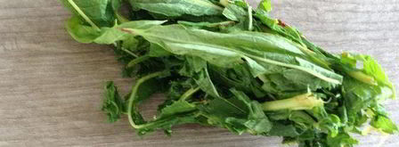 чай кипрей. Шаг 6