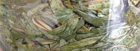 чай кипрей. Шаг 9