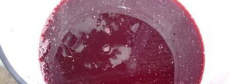 дедушкин любимый кисель. Шаг 5