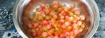 кисель из кукурузного крахмала. Шаг 6