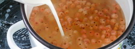 кисель из кукурузного крахмала. Шаг 12