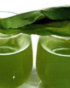 Кисель из щавеля