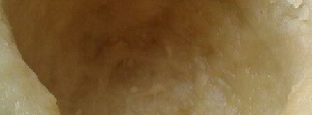 имбирный кофе в съедобной кружке. Шаг 3