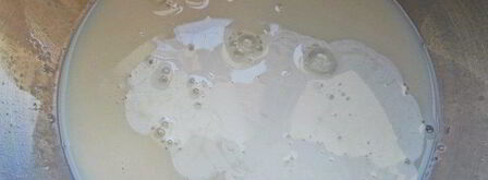 кофе с молоком и яичным ликером. Шаг 5