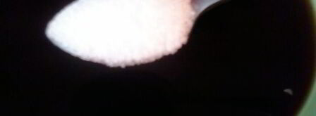 желе кофе со сливками. Шаг 3